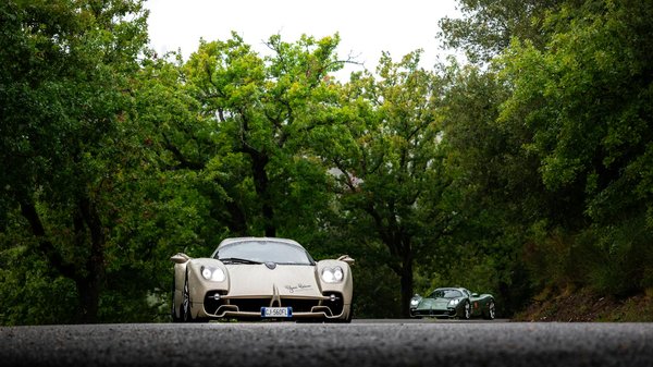 How Can Owning a Pet Impact Your Life in the UK?